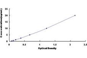 Typical standard curve (Fibromodulin Kit ELISA)