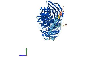 AlphaFold protein structure predicition of Human Recombinant IFT80 Protein, UniprotID Q9P2H3