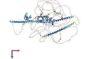 AlphaFold protein structure predicition of Human Recombinant PPP1R13B Protein, UniprotID Q96KQ4