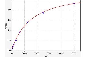 Typical standard curve (FAM151A Kit ELISA)