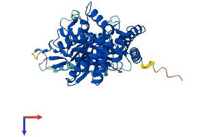 AlphaFold protein structure predicition of Mouse Recombinant Tuba1c Protein, UniprotID P68373