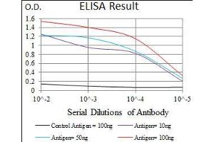 Black line: Control Antigen (100 ng), Purple line: Antigen(10 ng), Blue line: Antigen (50 ng), Red line: Antigen (100 ng),