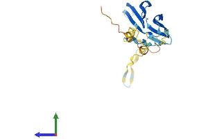 AlphaFold protein structure predicition of Human Recombinant HSPB2 Protein, UniprotID Q16082