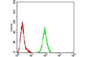 Flow cytometric analysis of Hela cells using ASGR2 mouse mAb (green) and negative control (red).