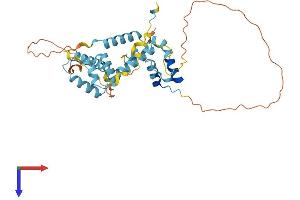 AlphaFold protein structure predicition of Human Recombinant SNAPC2 Protein, UniprotID Q13487