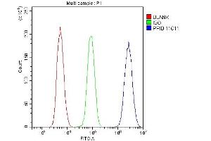 Flow Cytometry analysis of U20S cells using anti-Cyclophilin B antibody (ABIN6719475).