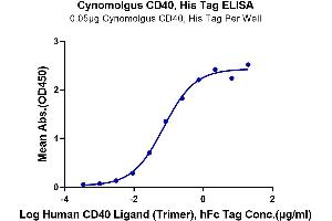 Immobilized Cynomolgus CD40, His Tag at 0.