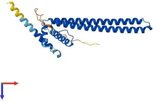 AlphaFold protein structure predicition of Human Recombinant DGCR6 Protein, UniprotID Q14129