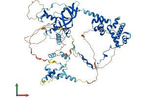 AlphaFold protein structure predicition of Mouse Recombinant Mta2 Protein, UniprotID Q9R190