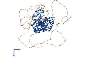 AlphaFold protein structure predicition of Mouse Recombinant Sh2d3c Protein, UniprotID Q9QZS8