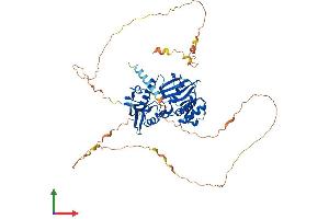 AlphaFold protein structure predicition of Mouse Recombinant Syn2 Protein, UniprotID Q64332