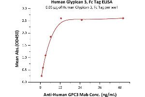 Glypican 3 (GPC3) (AA 25-559) (Active) protein (Fc Tag)