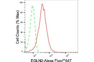 Flow cytometric analysis of EGLN2 expression in HepG2 cells using EGLN2 antibody (ABIN7798426), 1:2,000). (Recombinant PHD1 anticorps)