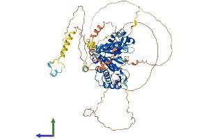 AlphaFold protein structure predicition of Human Recombinant EPB41L4A Protein, UniprotID Q9HCS5