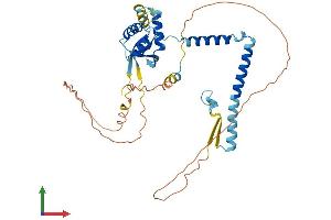 AlphaFold protein structure predicition of Human Recombinant SEC62 Protein, UniprotID Q99442