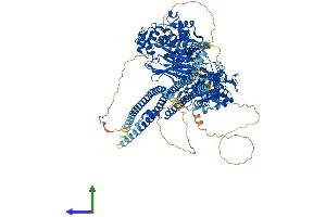 AlphaFold protein structure predicition of Human Recombinant PLCB1 Protein, UniprotID Q9NQ66