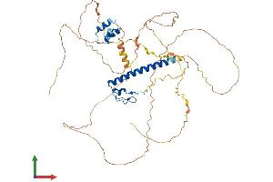 AlphaFold protein structure predicition of Mouse Recombinant Dmrta1 Protein, UniprotID Q8CFG4