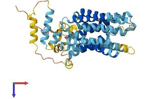 AlphaFold protein structure predicition of Mouse Recombinant Slc22a17 Protein, UniprotID Q9D9E0