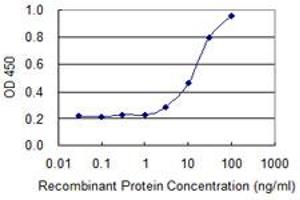 Detection limit for recombinant GST tagged POLR2A is 1 ng/ml as a capture antibody. (POLR2A/RPB1 anticorps  (AA 1-110))