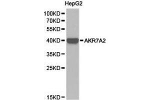 Western Blotting (WB) image for anti-Aflatoxin Beta1 Aldehyde Reductase (AKR7A2) antibody (ABIN1870908) (AKR7A2 anticorps)
