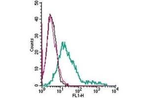 Cell surface detection of 5HT7 Receptor in live intact human MEG-01 megakaryoblastic leukemia cells: (black line) Cells.