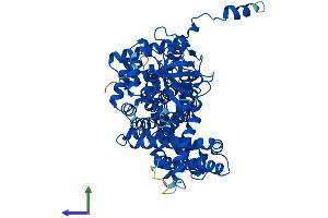 AlphaFold protein structure predicition of Human Recombinant ACOX2 Protein, UniprotID Q99424