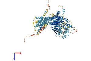 AlphaFold protein structure predicition of Human Recombinant NUGGC Protein, UniprotID Q68CJ6