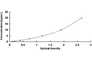 Typical standard curve (ube3a Kit ELISA)