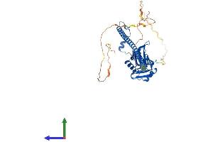 AlphaFold protein structure predicition of Human Recombinant NONO Protein, UniprotID Q15233