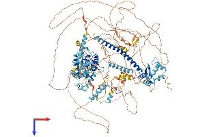 AlphaFold protein structure predicition of Human Recombinant NFRKB Protein, UniprotID Q6P4R8