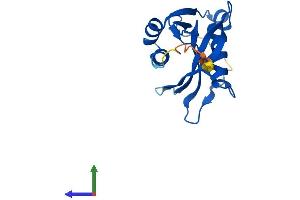 AlphaFold protein structure predicition of Mouse Recombinant Nudt11 Protein, UniprotID P0C028