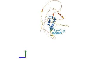 AlphaFold protein structure predicition of Human Recombinant SAP30BP Protein, UniprotID Q9UHR5