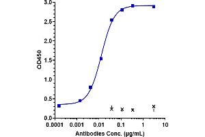 Immobilized human DLK1. (Recombinant DLK1 anticorps)