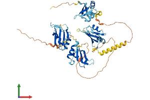 AlphaFold protein structure predicition of Mouse Recombinant Rbm45 Protein, UniprotID Q8BHN5