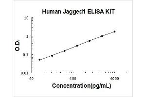 Jagged 1 (JAG1) ELISA Kit