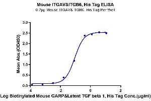 Immobilized Mouse ITGAV&ITGB6, His Tag at 2 μg/mL (100 μL/well) on the plate.