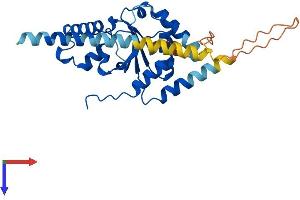 AlphaFold protein structure predicition of Human Recombinant NUS1 Protein, UniprotID Q96E22