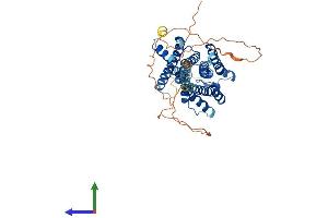 AlphaFold protein structure predicition of Human Recombinant CHRM1 Protein, UniprotID P11229