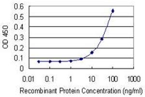 Detection limit for recombinant GST tagged POU5F2 is 3 ng/ml as a capture antibody. (POU5F2 anticorps  (AA 2-100))