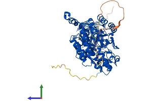 AlphaFold protein structure predicition of Mouse Recombinant Dpysl5 Protein, UniprotID Q9EQF6