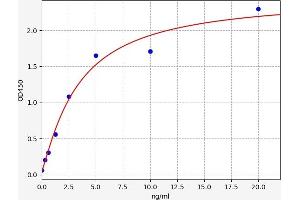 Typical standard curve (SMAD7 Kit ELISA)
