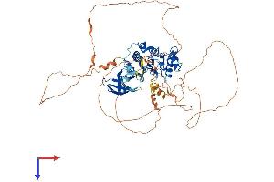AlphaFold protein structure predicition of Mouse Recombinant Mak Protein, UniprotID Q04859