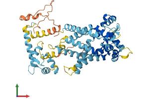 AlphaFold protein structure predicition of Mouse Recombinant Slc25a25 Protein, UniprotID A2ASZ8
