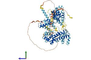 AlphaFold protein structure predicition of Human Recombinant SPG7 Protein, UniprotID Q9UQ90