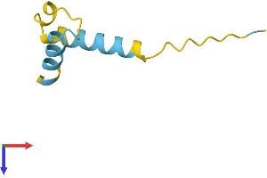 AlphaFold protein structure predicition of Human Recombinant LUZP6 Protein, UniprotID Q538Z0