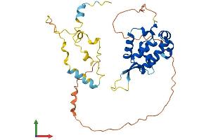 AlphaFold protein structure predicition of Mouse Recombinant Foxr2 Protein, UniprotID Q3UM89