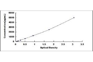 Typical standard curve (proBNP Kit ELISA)