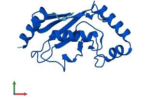 AlphaFold protein structure predicition of Human Recombinant UBE2D2 Protein, UniprotID P62837