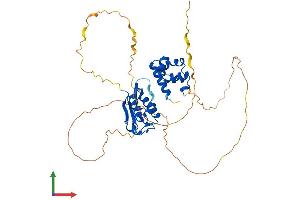 AlphaFold protein structure predicition of Mouse Recombinant Scml4 Protein, UniprotID Q80VG1