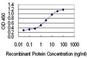 Detection limit for recombinant GST tagged CCDC28A is 0. (CCDC28A anticorps  (AA 1-162))